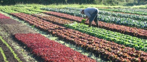 organic farm apprenticeship in Oregon