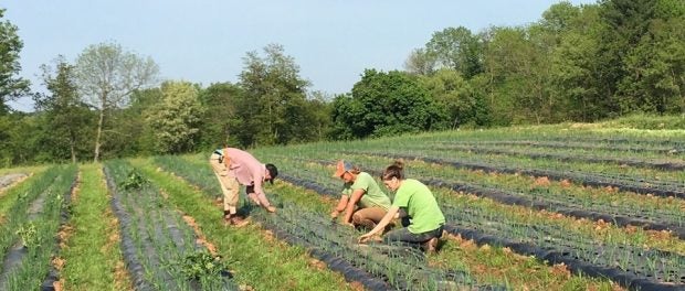 biodynamic csa