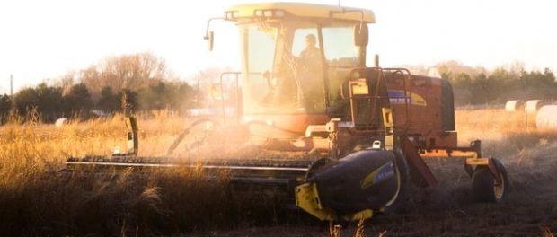 National Farmers Union Beginning Farmer