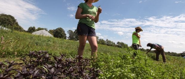 farm business incubator