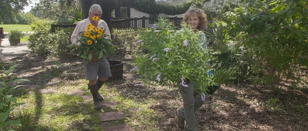 Brays Island Garden