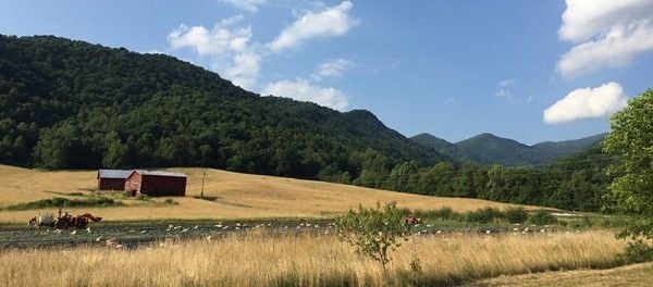 Ivy Creek Family Farm