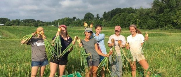 farm and education