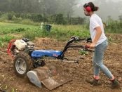 farm apprenticeship on Long Island