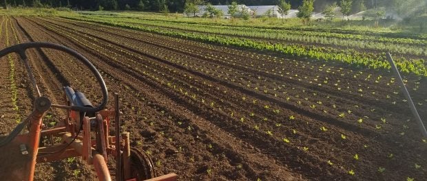 Farm Field in Washington