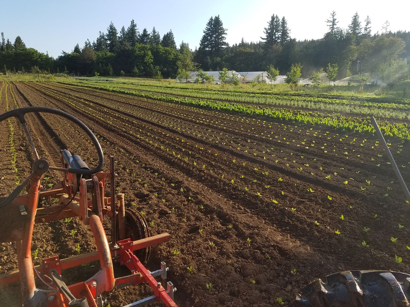 Farm Field in Washington