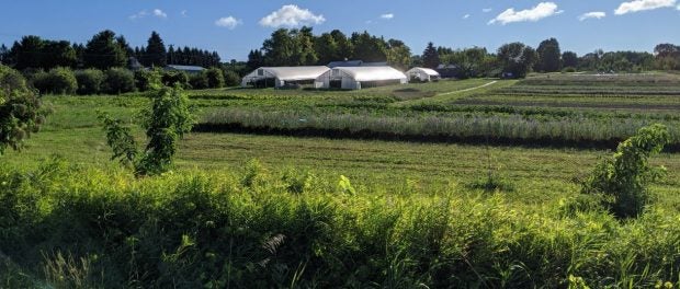 Farm Field in Michigan
