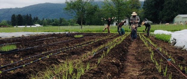 Small Acres Farm