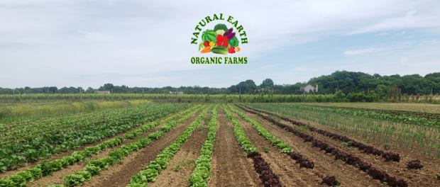 natural earth organic farm