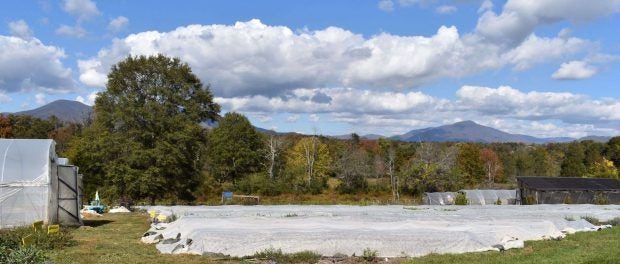 gathered threads farm