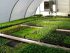 Rare Earth Organic Farm