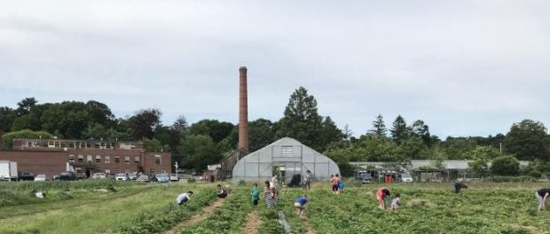 community outreach farmer