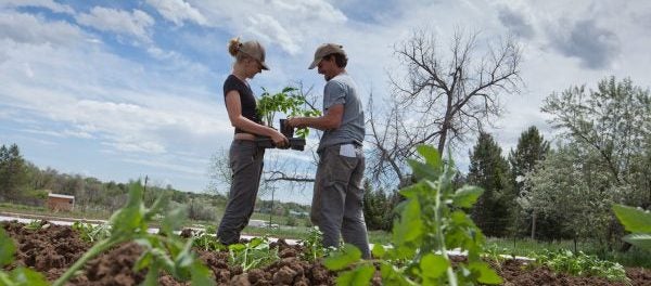 farm manager job in Colorado