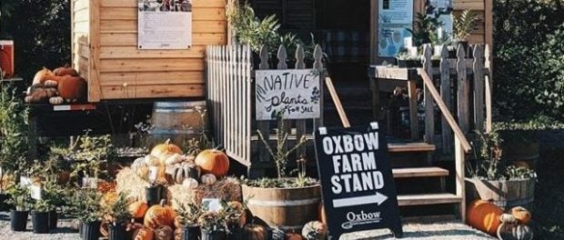 farm stand