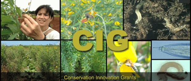 conservation innovation grants program