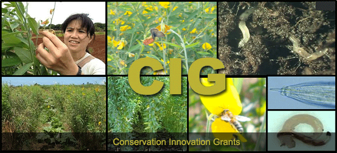 conservation innovation grants program