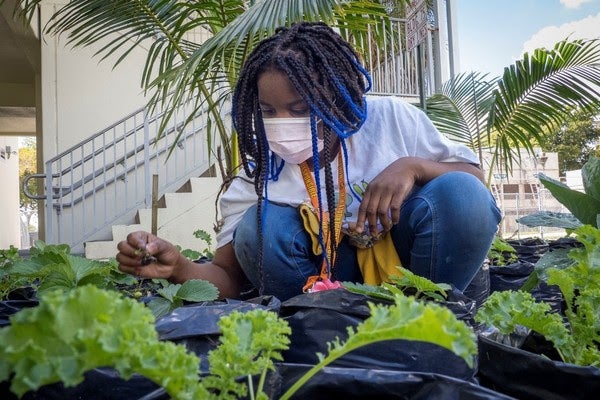 grants for urban agriculture