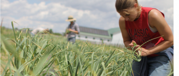 ohio sustainable farm tour