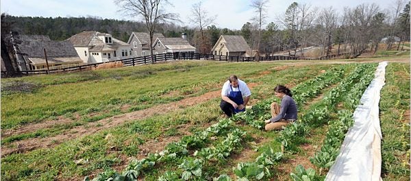 organic farm in Georgia