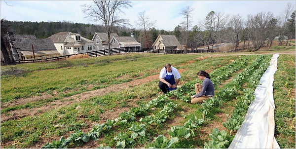 organic farm in Georgia