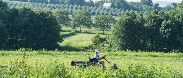 rodale organic field day