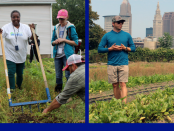 Urban Farming Program for Veterans