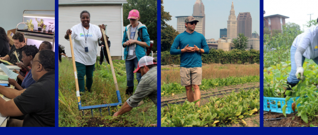 Urban Farming Program for Veterans