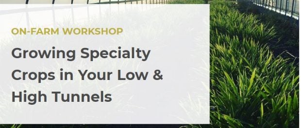 growing specialty crops workshop