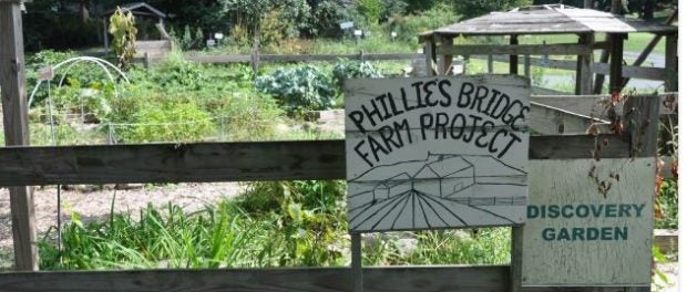 phillies bridge farm project