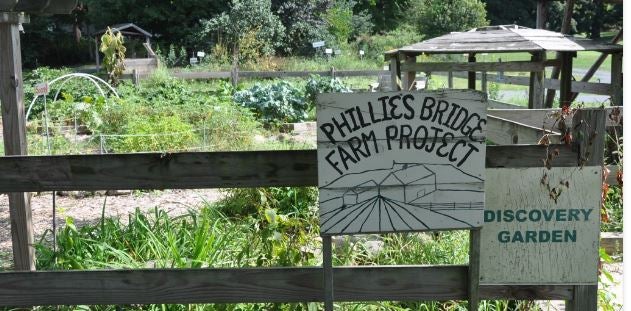 phillies bridge farm project