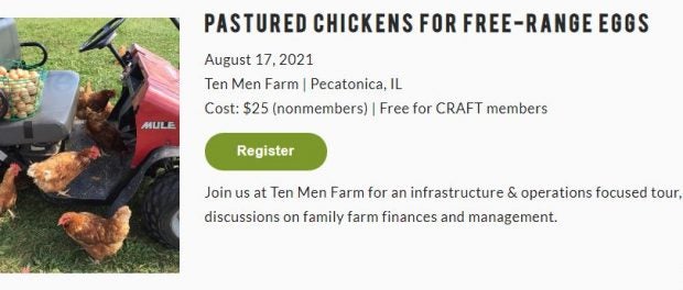 pastured chickens for free range eggs