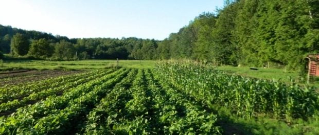 soil health in new hampshire