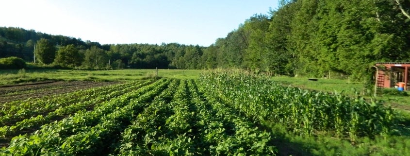 soil health in new hampshire