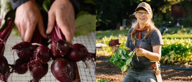 fall farm crew