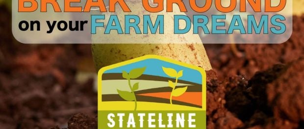 stateline farm beginnings
