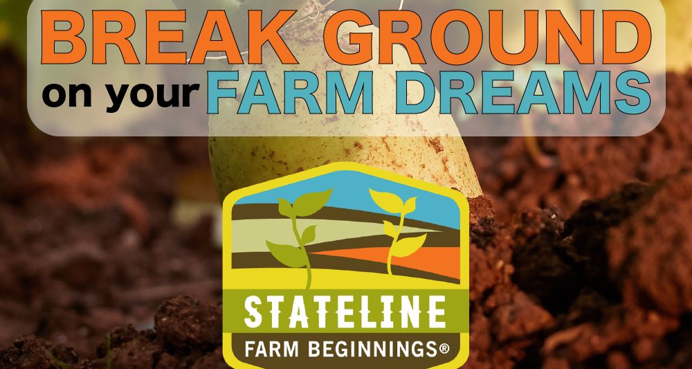 stateline farm beginnings
