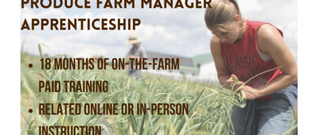 farm manager apprenticeship
