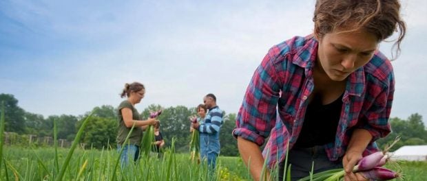 UVM Farmer Training Program 2022